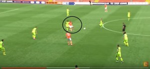 vassell-dropping-hort